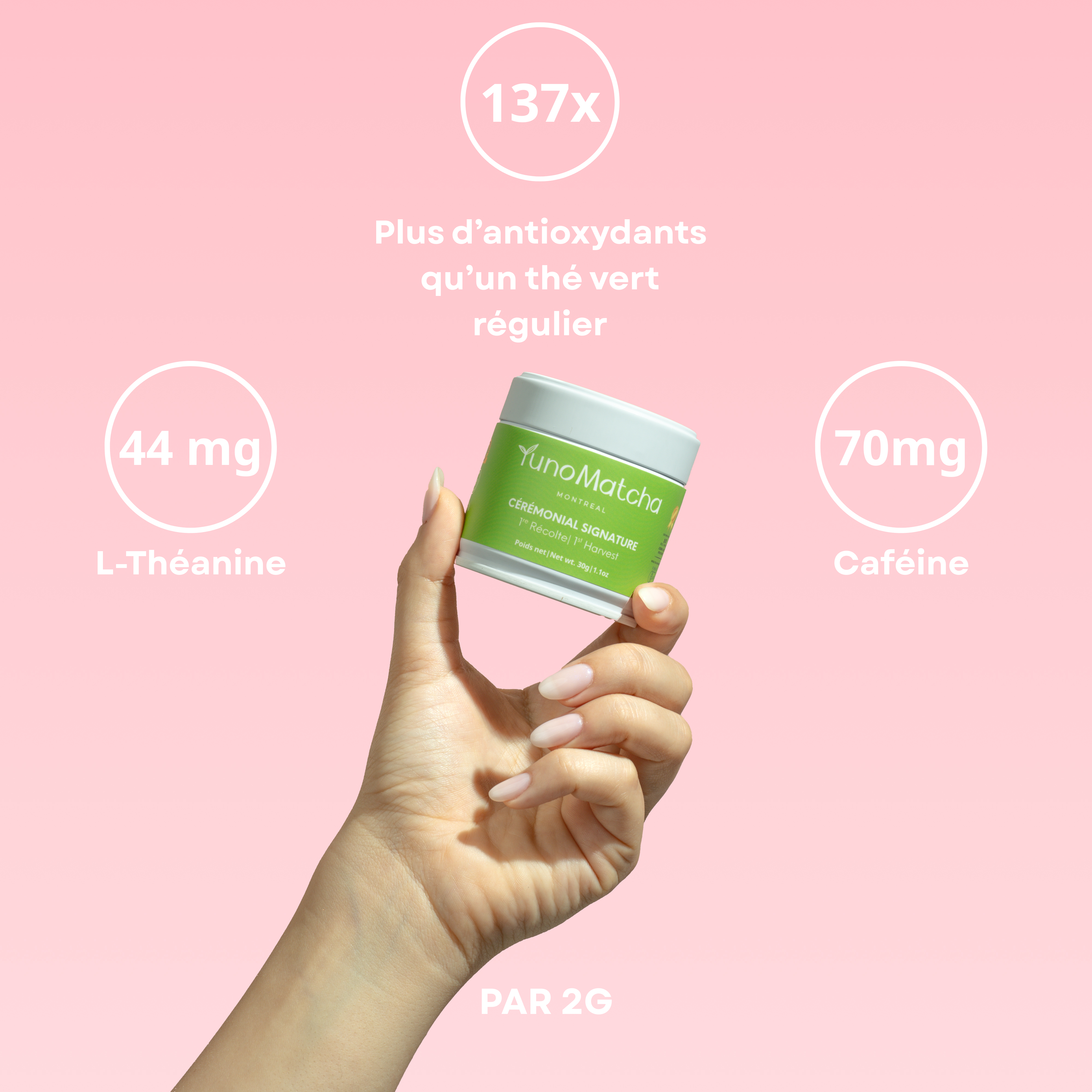 Matcha Cérémonial Signature (1re Récolte- 1st Harvest)