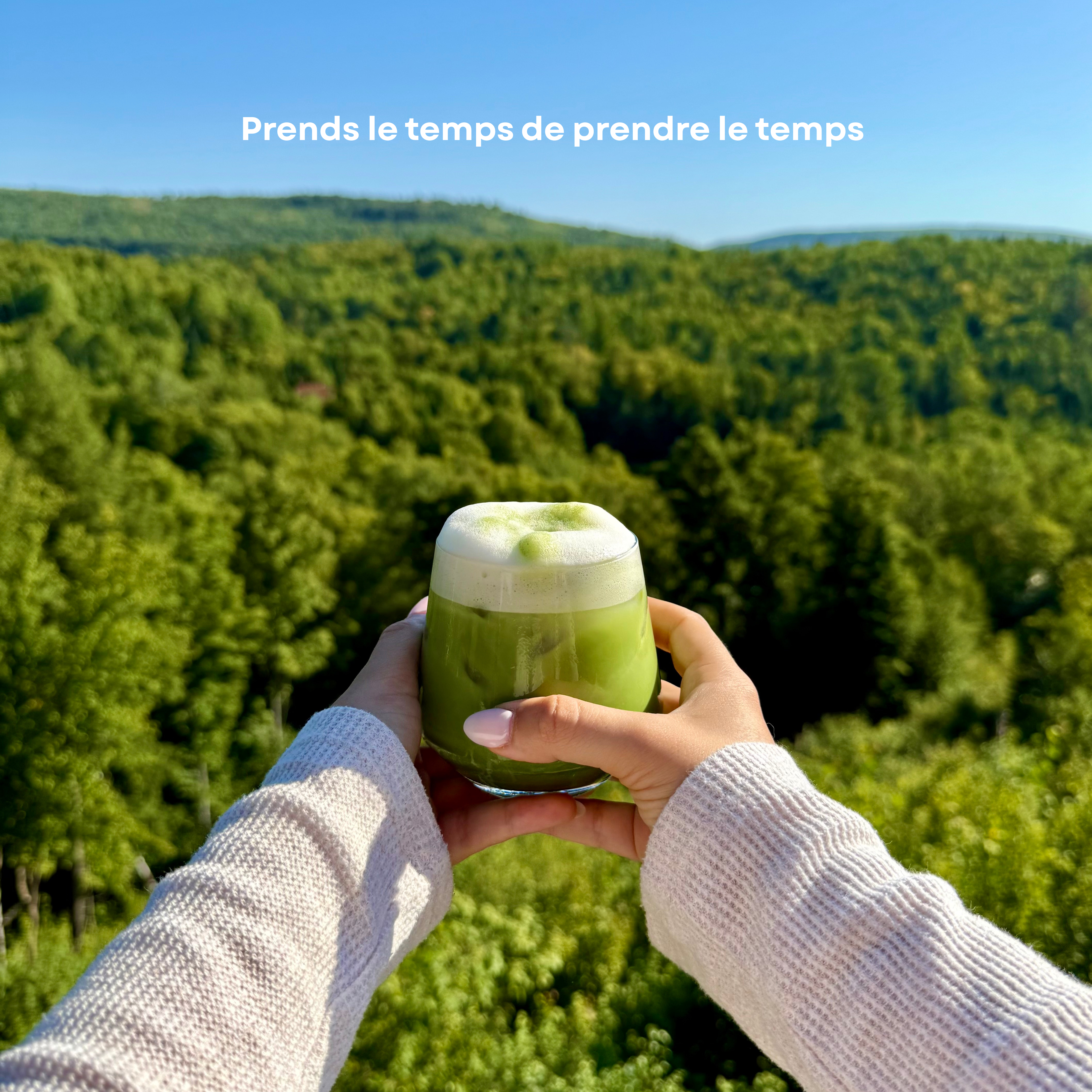 Matcha Cérémonial Signature (1re Récolte- 1st Harvest)