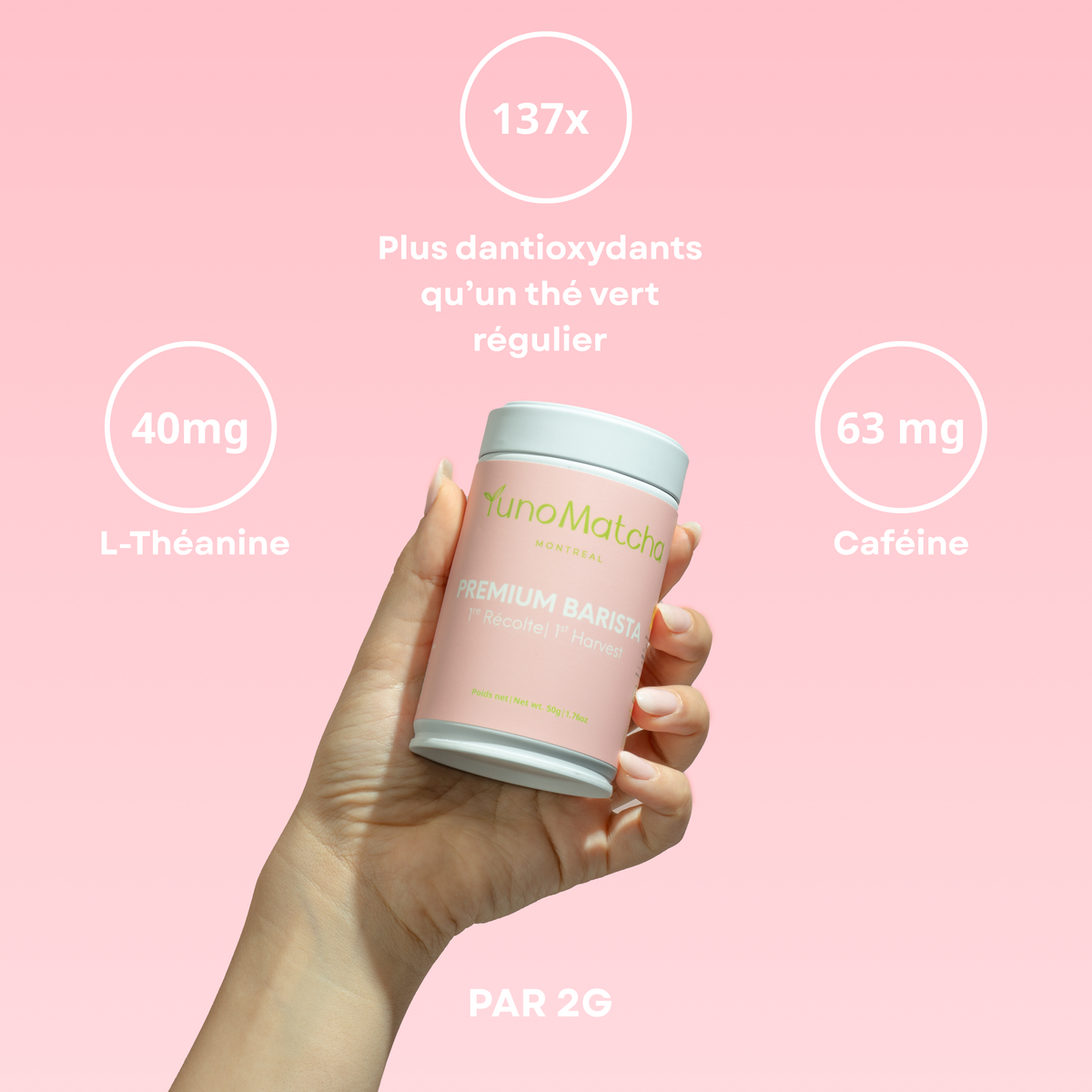 Premium Barista Matcha