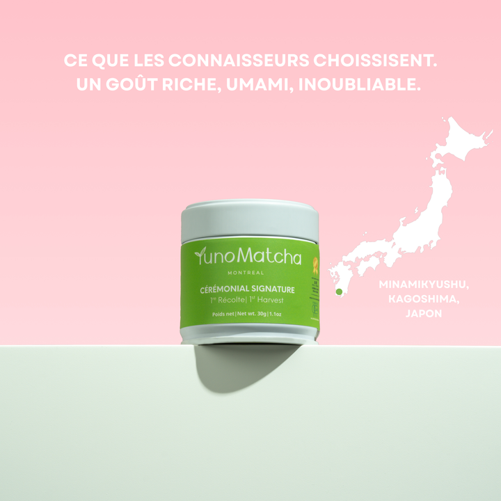 Matcha Cérémonial Signature
