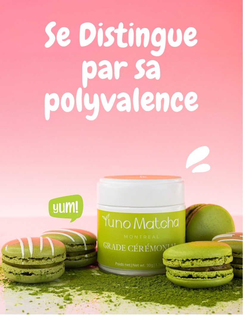 Yuno Matcha Découvrez l'Excellence du Matcha Japonais Qualité Prem — free download